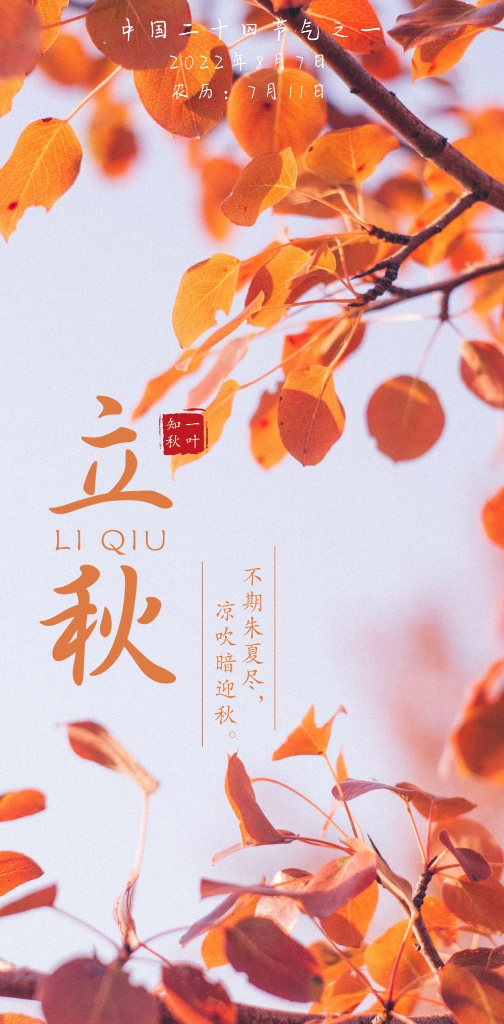 中国二十四节气之一-立秋