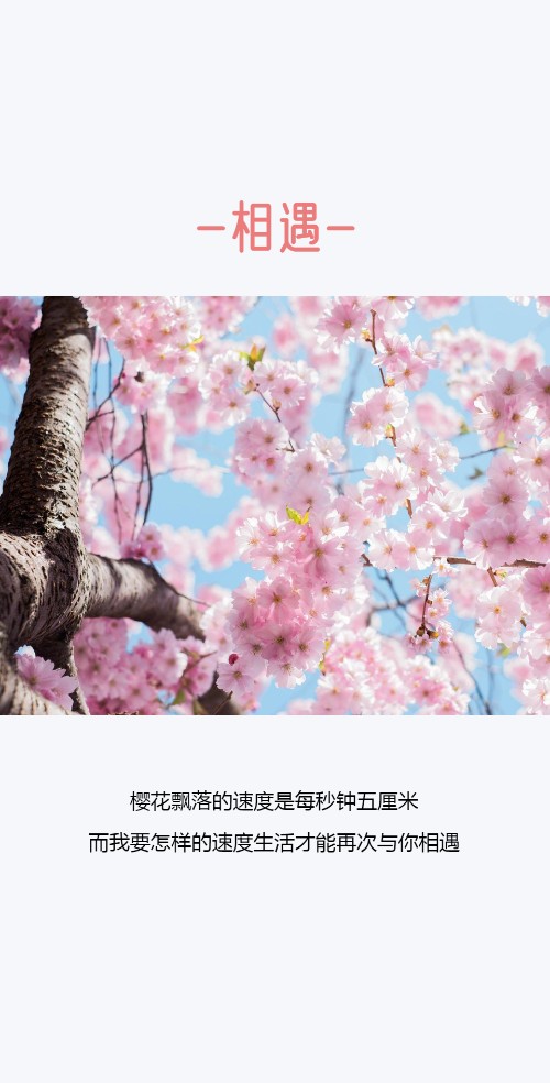 相遇-相识